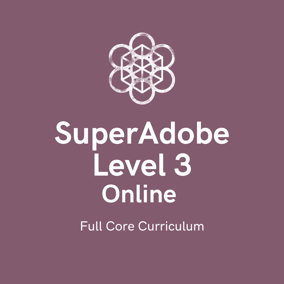 SuperAdobe Level 3 Online: Full Core Curriculum (Best Value)