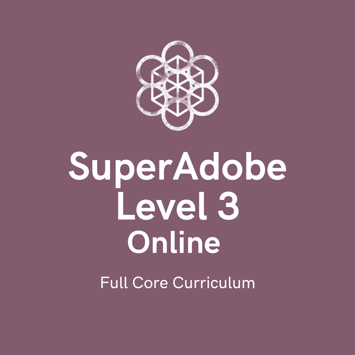 SuperAdobe Level 3 Online: Full Core Curriculum (Best Value- Includes Level 1 & 2 Plus Bonus Material)