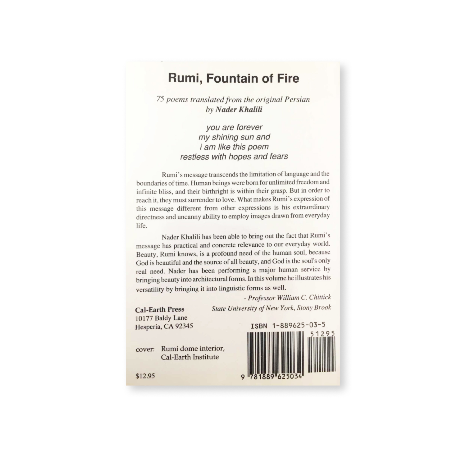 Rumi Fountain of Fire Book